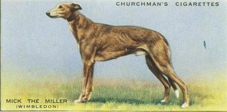 Cigarette card of Mick the Miller